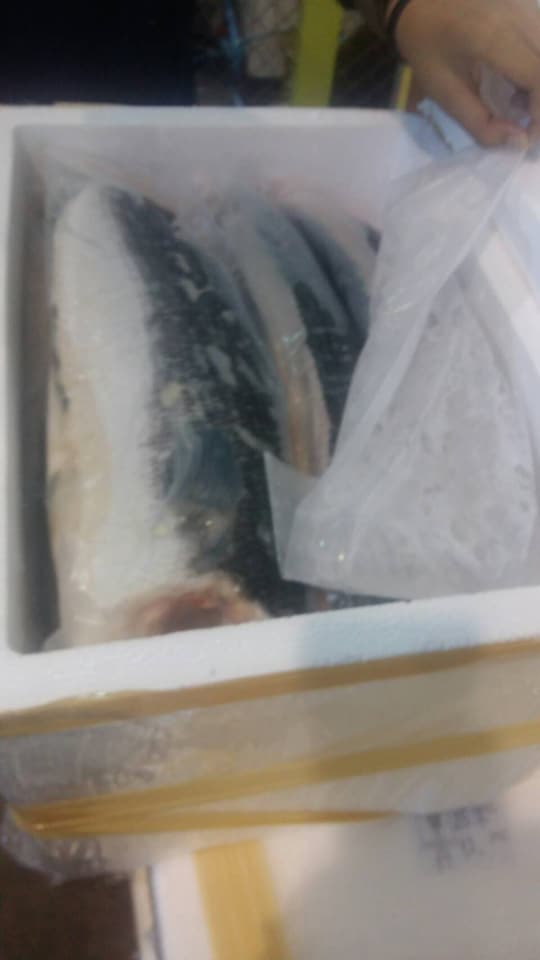 ด่านตรวจสัตว์นำ้ท่าอากาศยานดอนเมือง ตรวจสอบสินค้าสัตว์นำ้ส่งออก..คลิก