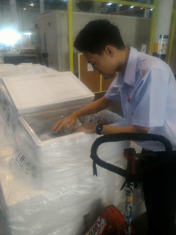 ด่านตรวจสัตว์นำ้ท่าอากาศยานดอนเมือง ตรวจสอบสินค้าสัตว์นำ้ส่งออก..คลิก