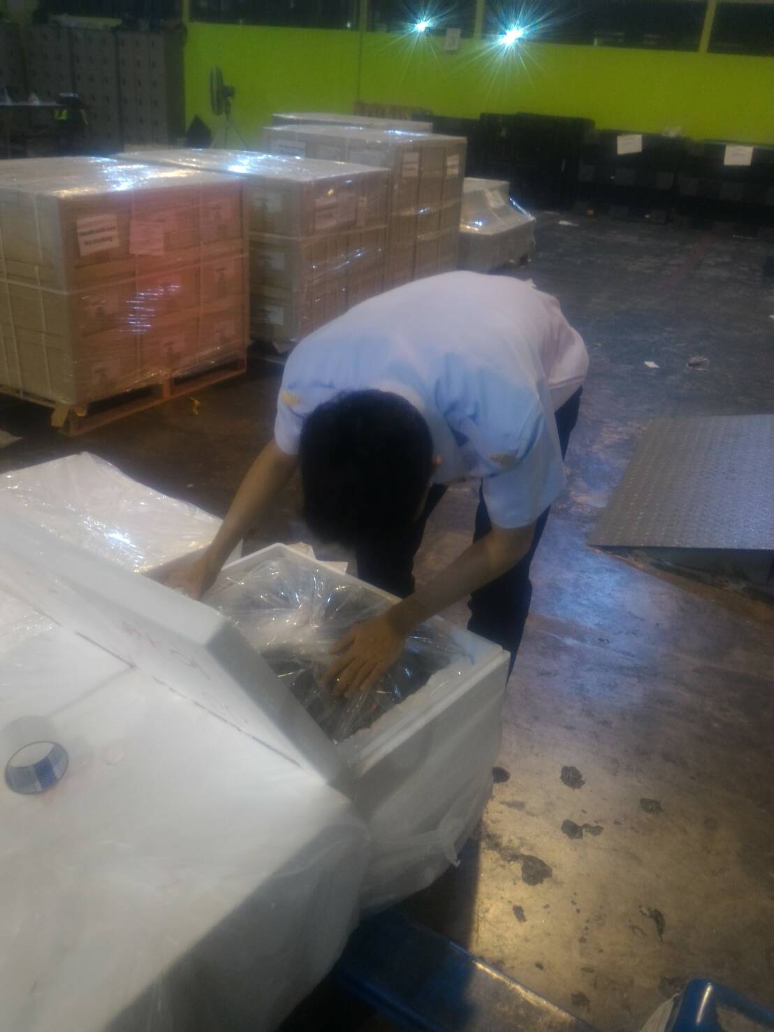 ด่านตรวจสัตว์นำ้ท่าอากาศยานดอนเมือง ตรวจสอบสินค้าสัตว์นำ้ส่งออก..คลิก