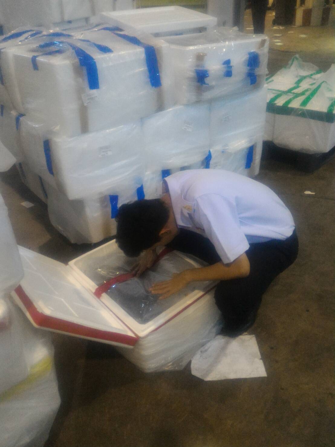 ด่านตรวจสัตว์นำ้ท่าอากาศยานดอนเมือง ตรวจสอบสินค้าสัตว์นำ้ส่งออก..คลิก