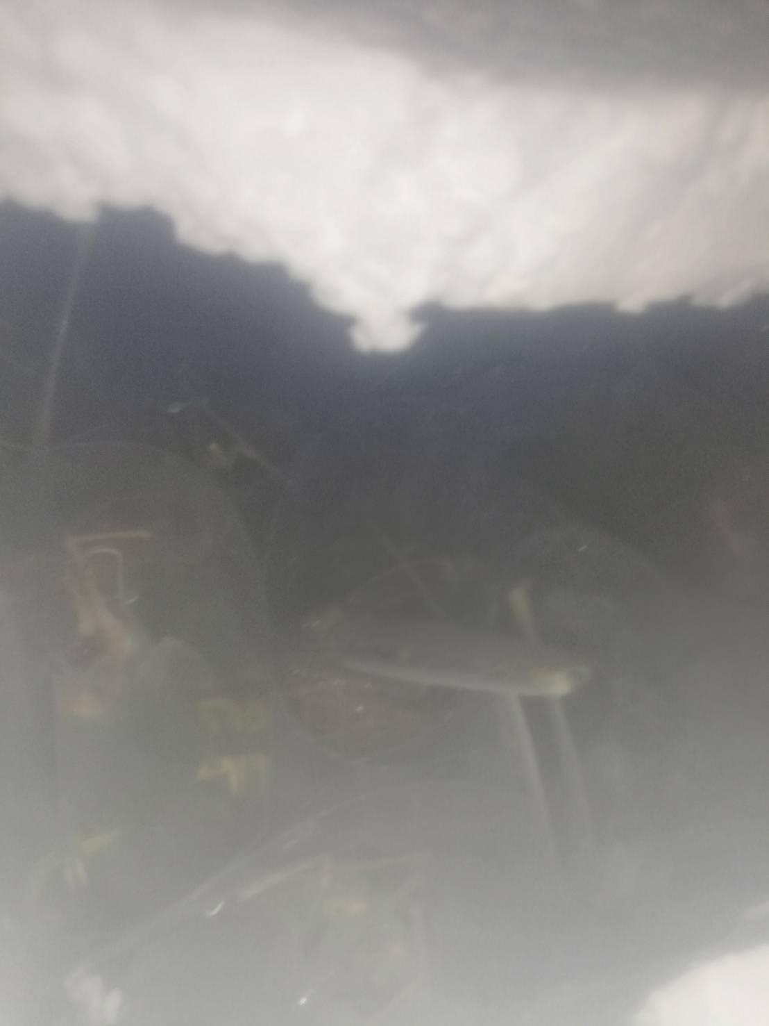 ด่านตรวจสัตว์นำ้ท่าอากาศยานดอนเมือง ตรวจสอบสินค้าสัตว์นำ้นำเข้า..คลิก