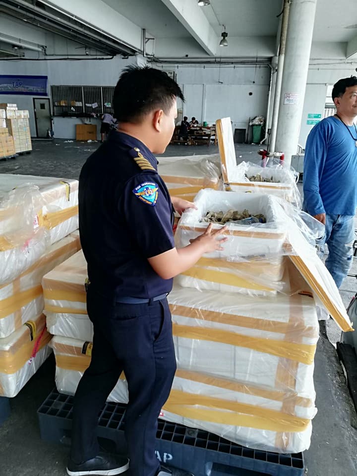 ด่านตรวจสัตว์นำ้ท่าอากาศยานดอนเมือง ตรวจสอบสินค้าสัตว์นำ้นำเข้า..คลิก