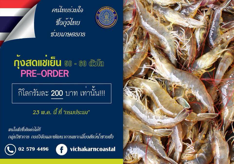 ข่าวประชาสัมพันธ์..คลิก