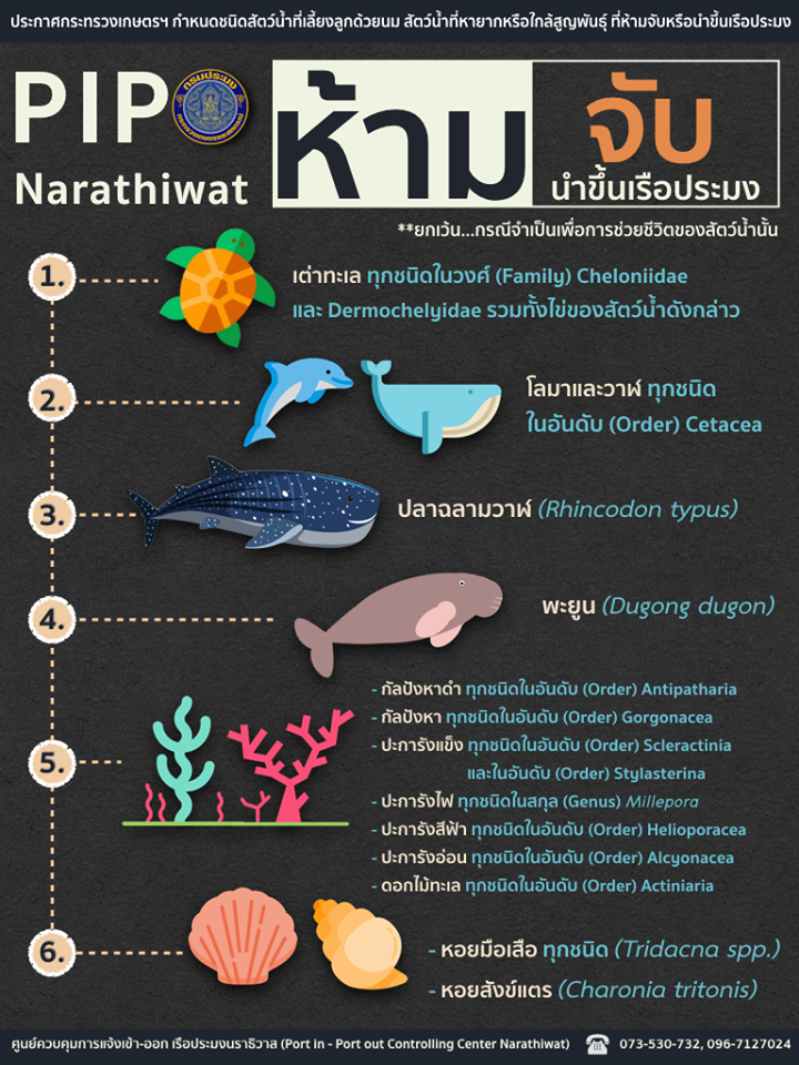ประกาศกระทรวงเกษตรฯ กำหนดชนิดสัตว์น้ำที่เลี้ยงลูกด้วยนม สัตว์น้ำที่หายากหรือใกล้สูญพันธุ์ ที่ห้ามจับหรือนำขึ้นเรือประมง..คลิก