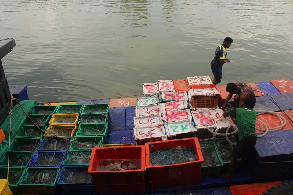 ตรวจสอบเรือและสินค้านำเข้าจากประเทศ MYANMAR..คลิก