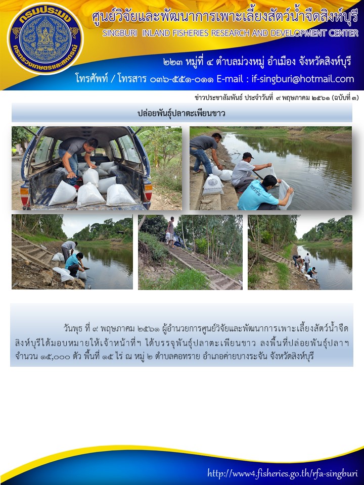 ปล่อยพันธุ์ปลา หมู่ 2 ตำบลคอทราย อำเภอค่ายบางระจัน จังหวัดสิงห์บุรี..คลิก