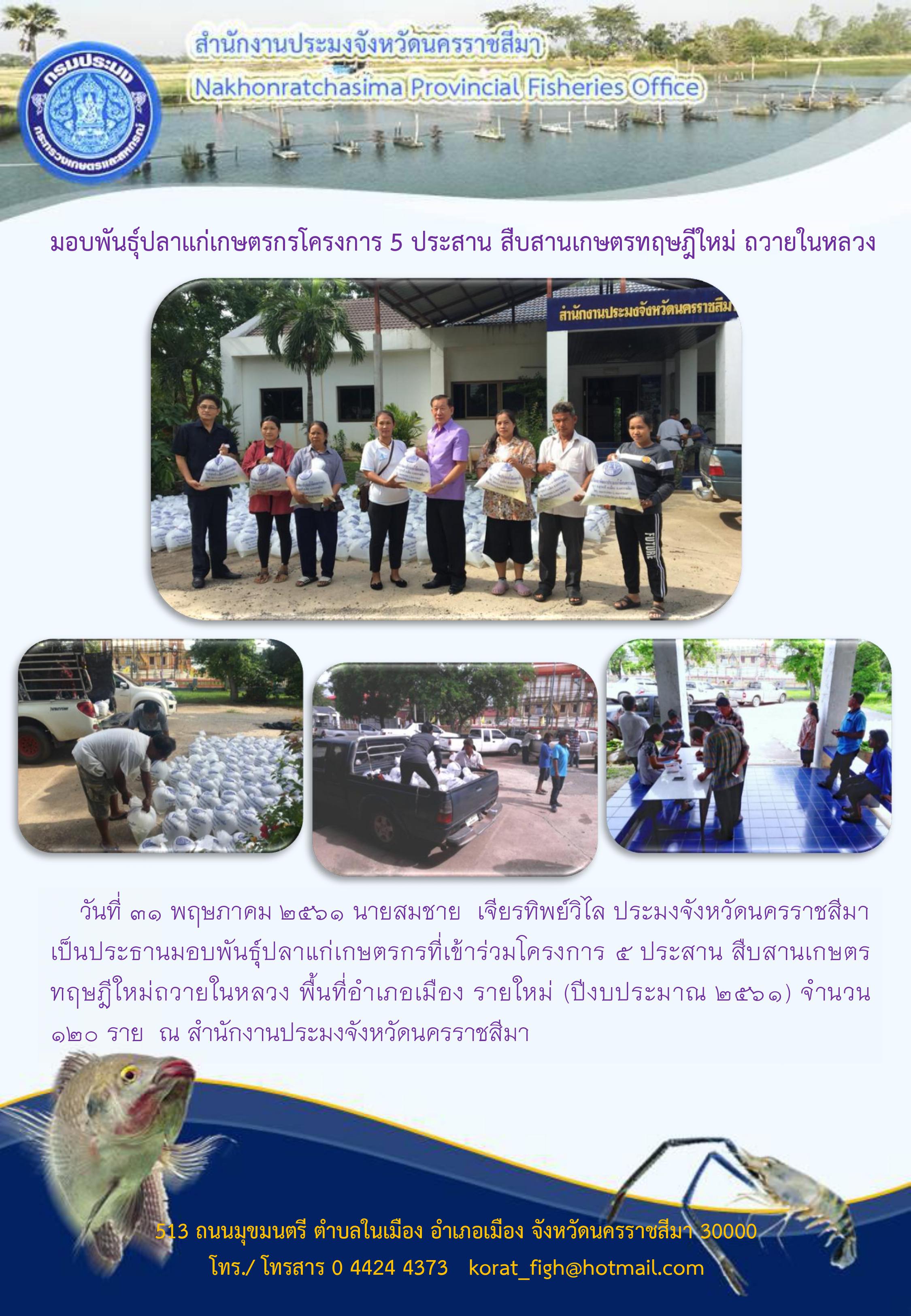 มอบพันธุ์ปลาแก่เกษตรกรโครงการ 5  ประสาน สืบสานเกษตรทฤษฎีใหม่ถวายในหลวง อำเภอเมือง..คลิก