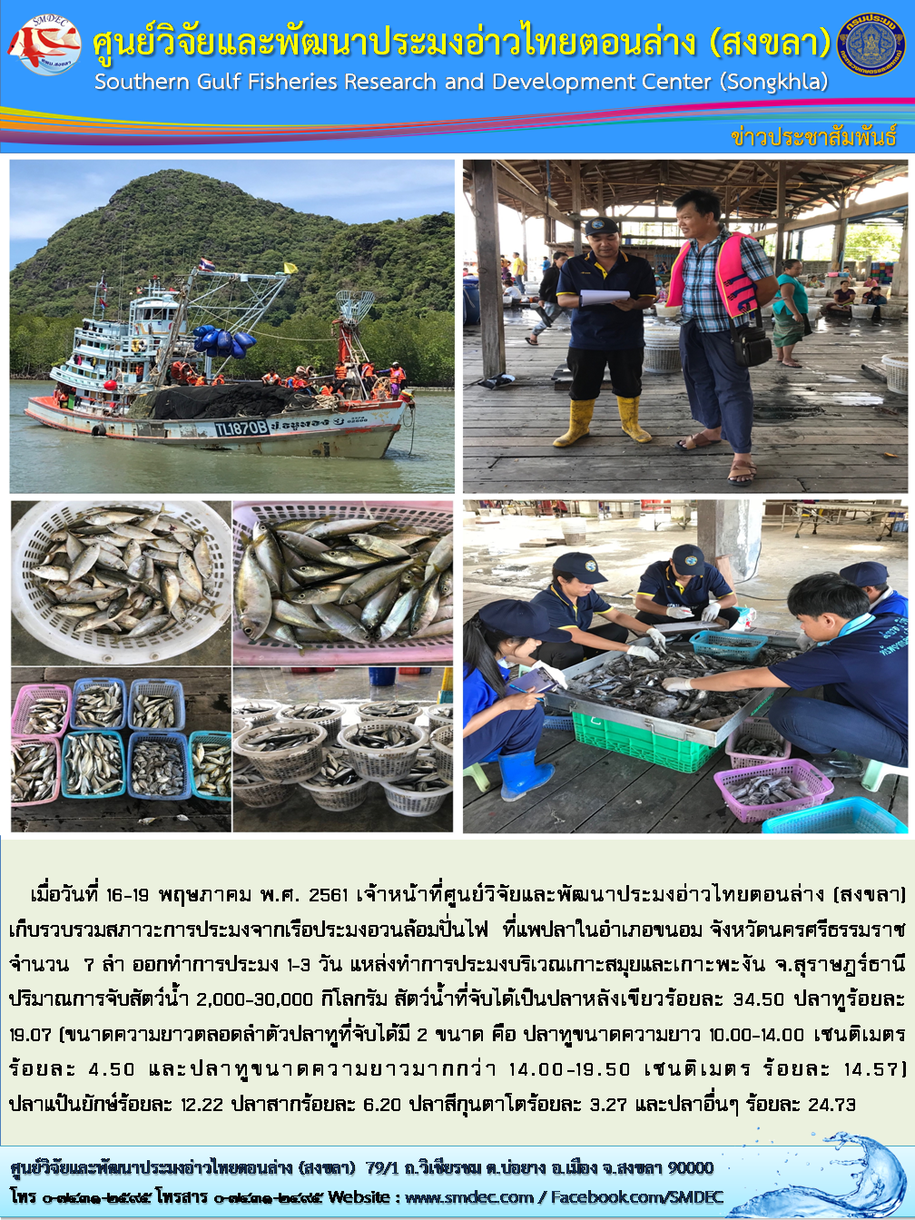 เก็บรวบรวมสภาวะการประมงจากเรือประมงอวนล้อมปั่นไฟ..คลิก