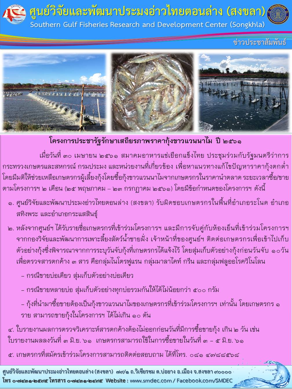 โครงการประชารัฐรักษาเสถียรภาพราคากุ้งขาวแวนนาไม ปี 2561..คลิก