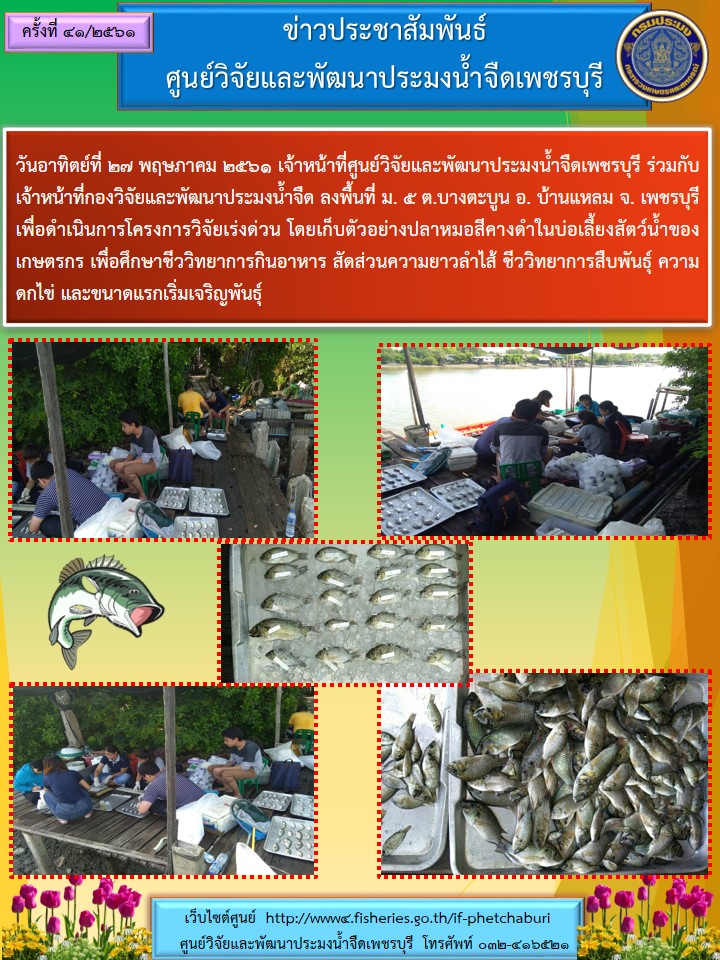 ข่าวประชาสัมพันธ์ครั้งที่ 41/2561