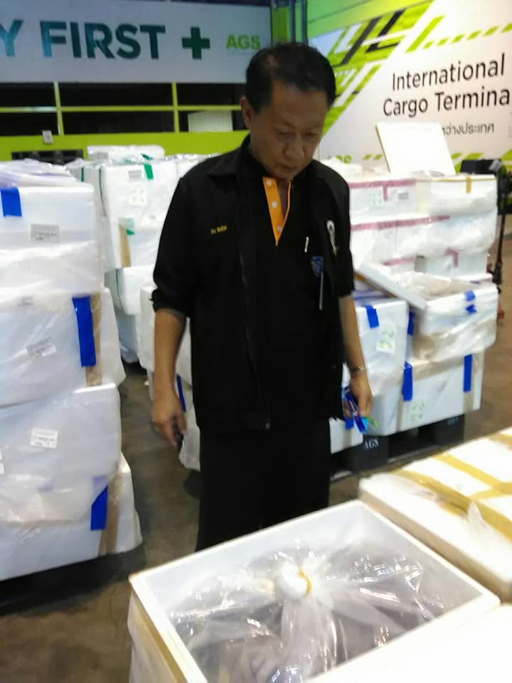 ด่านตรวจสัตว์นำ้ท่าอากาศยานดอนเมือง ตรวจสอบสินค้าสัตว์นำ้ส่งออก..คลิก
