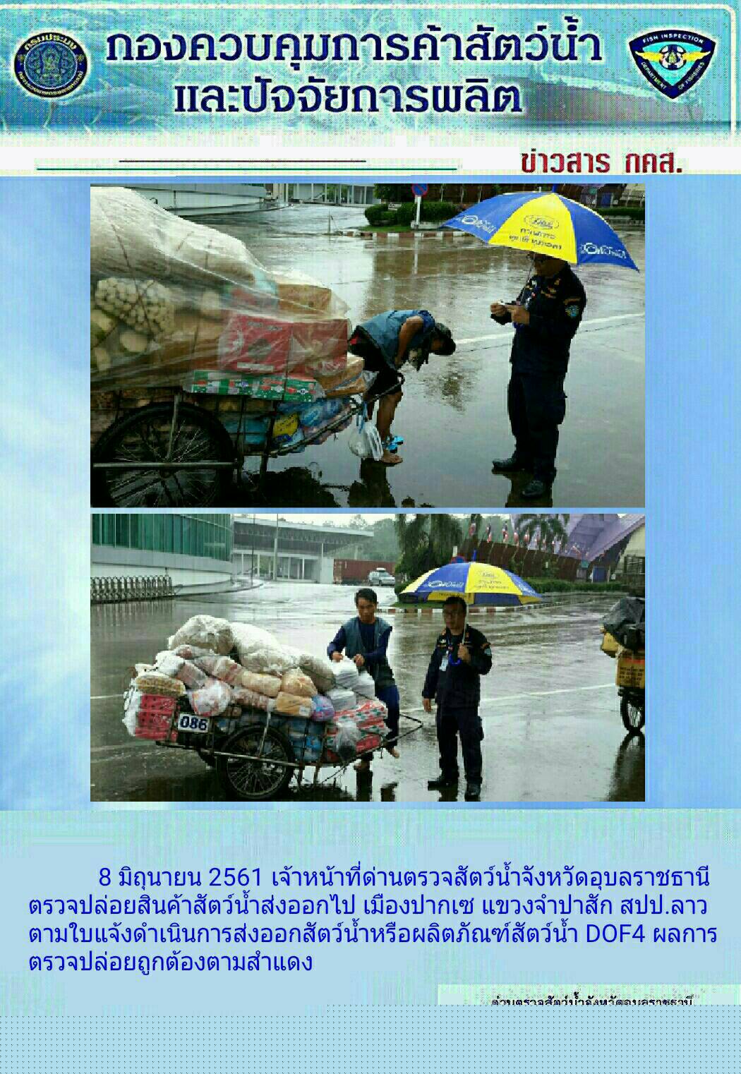 ภาพข่าวสรุปผลการปฏิบัติงาน วันที่ 8 มิถุนายน 2561..คลิก
