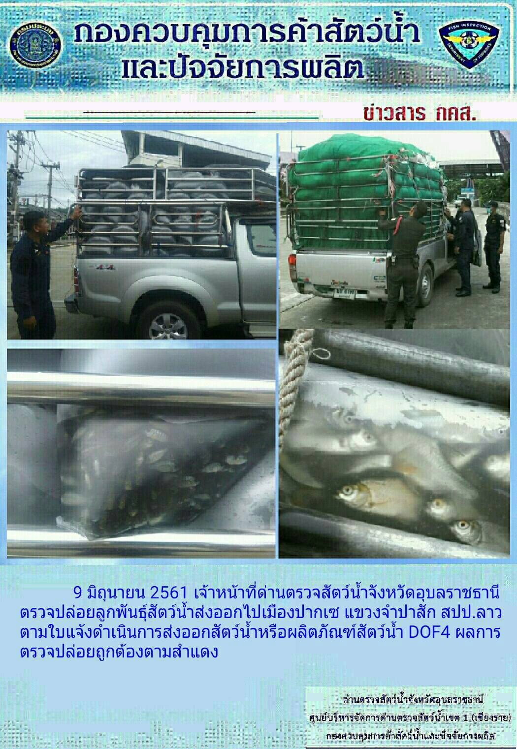 ภาพข่าวสรุปผลการปฏิบัติงาน วันที่ 9 มิถุนายน 2561..คลิก