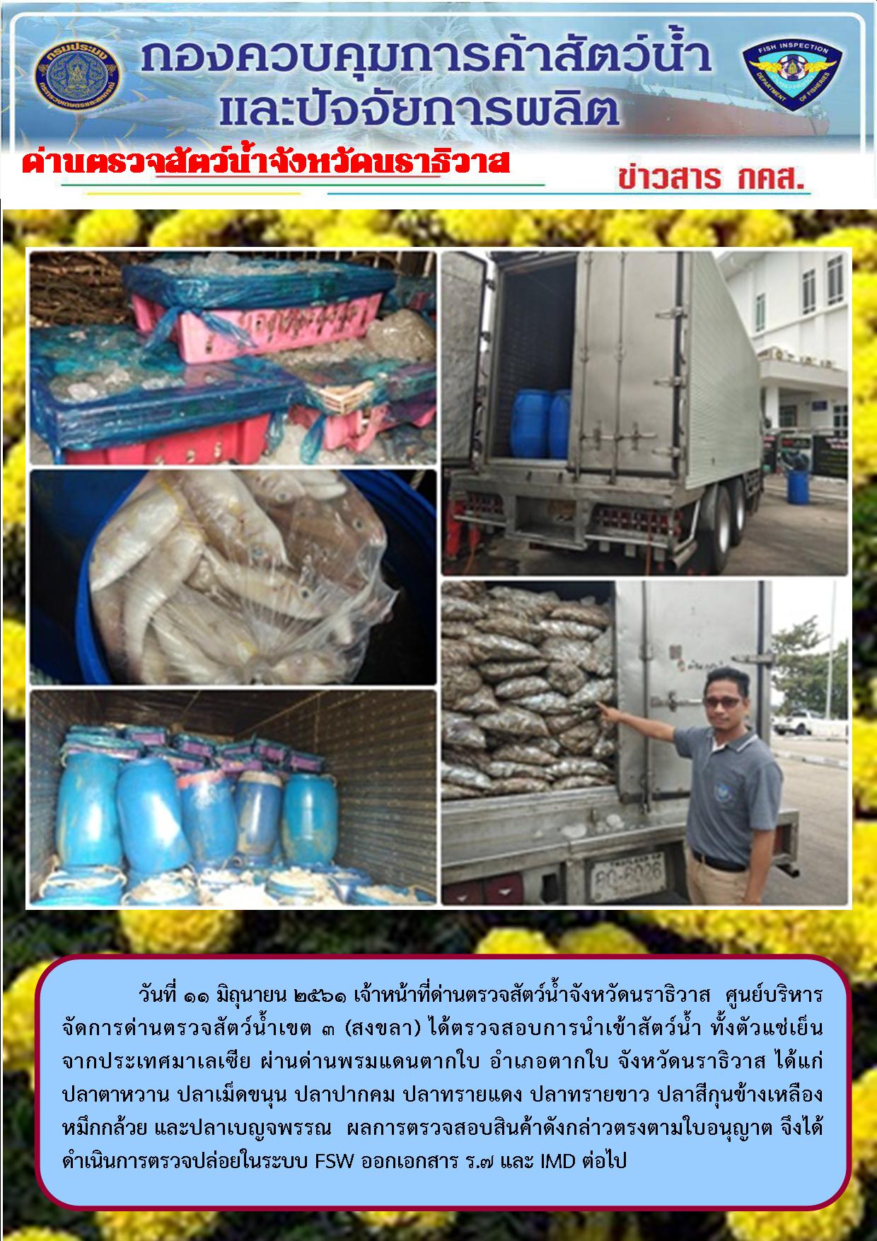 ประชาสัมพันธ์ประจำวันที่ 11 มิถุนายน 2561..คลิก