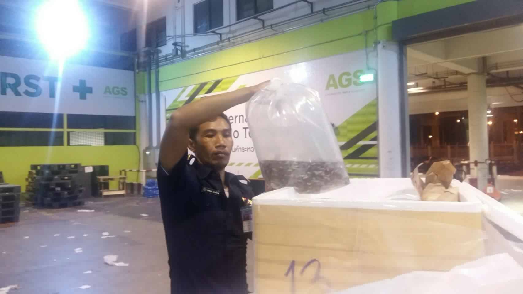 ด่านตรวจสัตว์นำ้ท่าอากาศยานดอนเมือง ตรวจสอบสินค้าสัตว์นำ้ส่งออก..คลิก