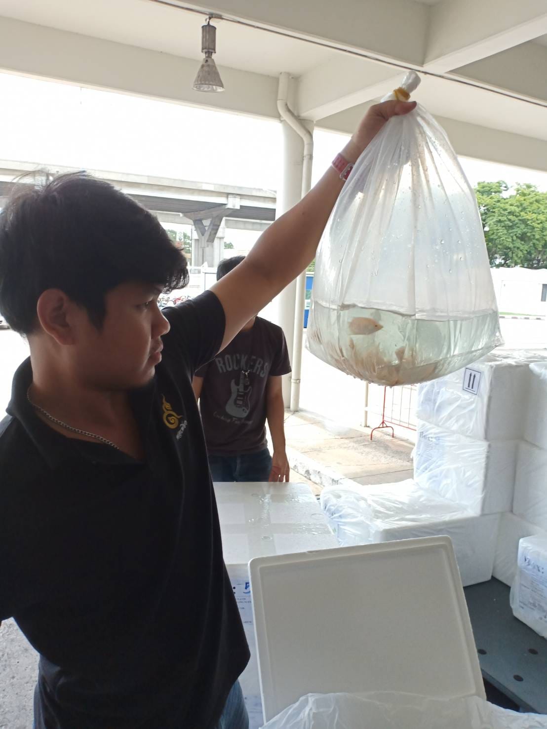 ด่านตรวจสัตว์นำ้ท่าอากาศยานดอนเมือง ตรวจสอบสินค้าสัตว์นำ้ส่งออก..คลิก