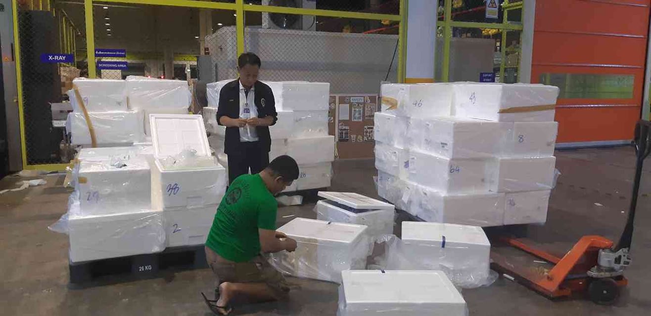 ด่านตรวจสัตว์นำ้ท่าอากาศยานดอนเมือง ตรวจสอบสินค้าสัตว์นำ้ส่งออก..คลิก