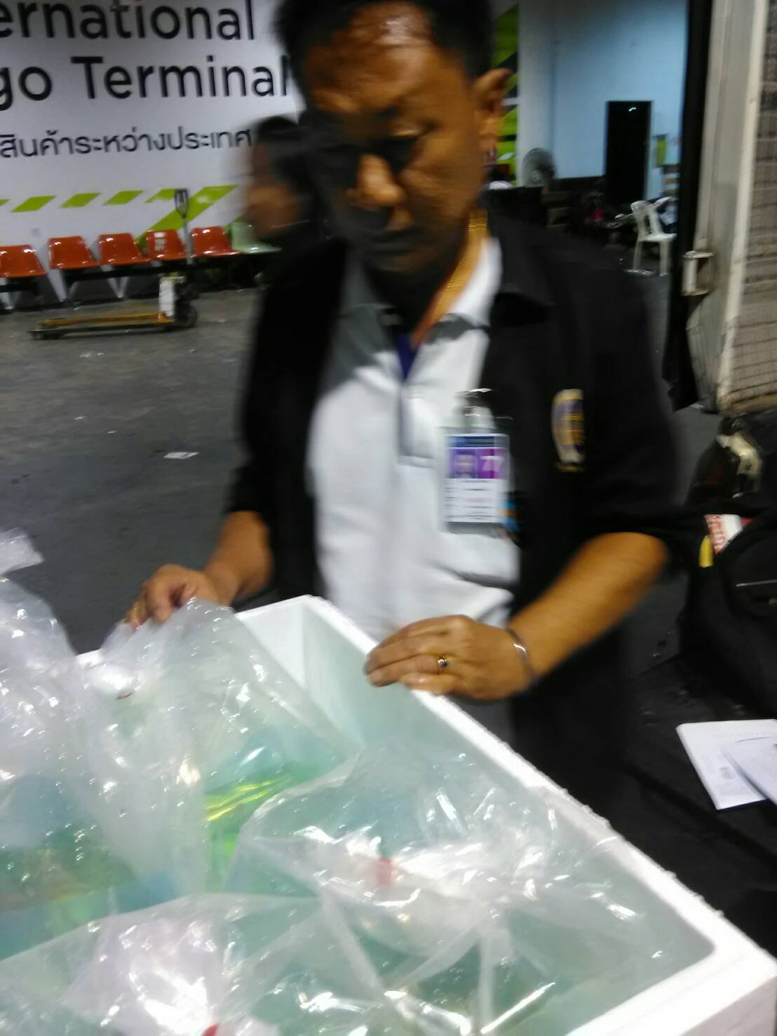 ด่านตรวจสัตว์นำ้ท่าอากาศยานดอนเมือง ตรวจสอบสินค้าสัตว์นำ้ส่งออก..คลิก