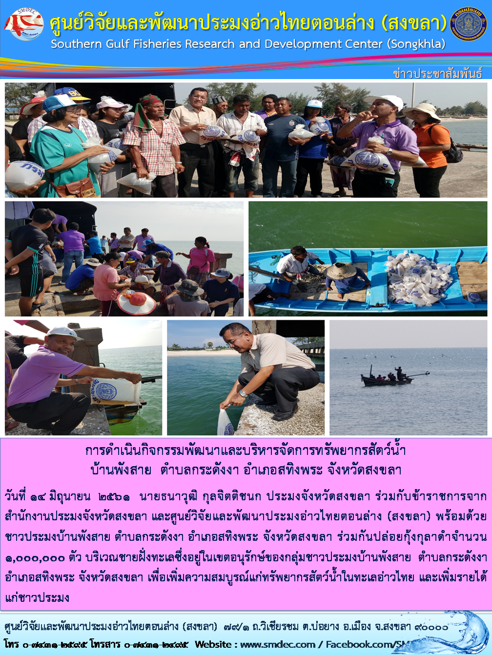 ศูนย์วิจัยและพัฒนาประมงอ่าวไทยตอนล่าง (สงขลา) พร้อมด้วยชาวประมงบ้านพังสาย ตำบลกระดังงา อำเภอสทิงพระ จังหวัดสงขลา ร่วมกันปล่อยกุ้งกุลาดำ..คลิก