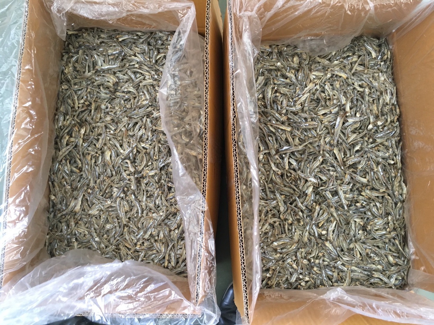 จ้าหน้าที่ศูนย์บริหารจัดการด่านตรวจสัตว์น้ำเขต1 (เชียงราย) ตรวจสอบตู้สินค้าปลากะตักตากแห้ง ส่งออกไปยังสาธารณรัฐประชาชนจีน ณ สะพานมิตรภาพไทย - ลาว แห่งที่ 4 (เชียงของ - ห้วยทราย)..คลิก