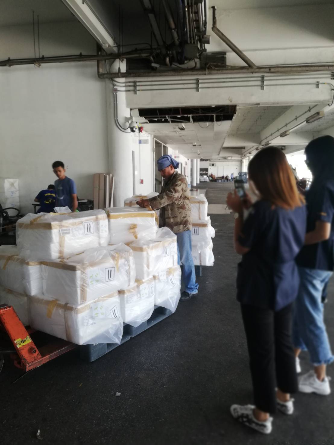 ด่านตรวจสัตว์นำ้ท่าอากาศยานดอนเมือง ตรวจสอบสินค้าสัตว์นำ้ส่งออก..คลิก
