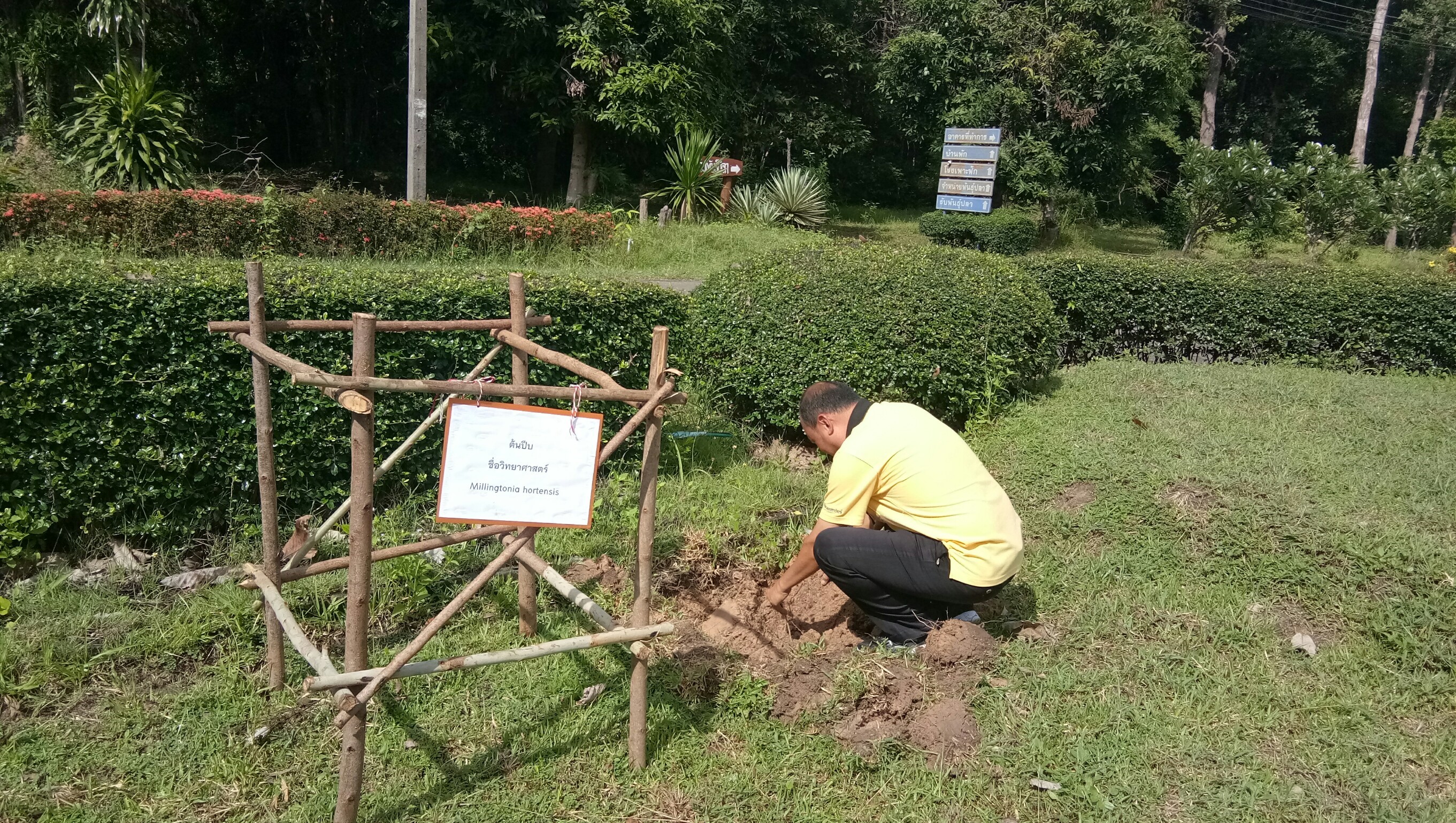 วันต้นไม้ประจำปีของชาติ พ.ศ. 2561