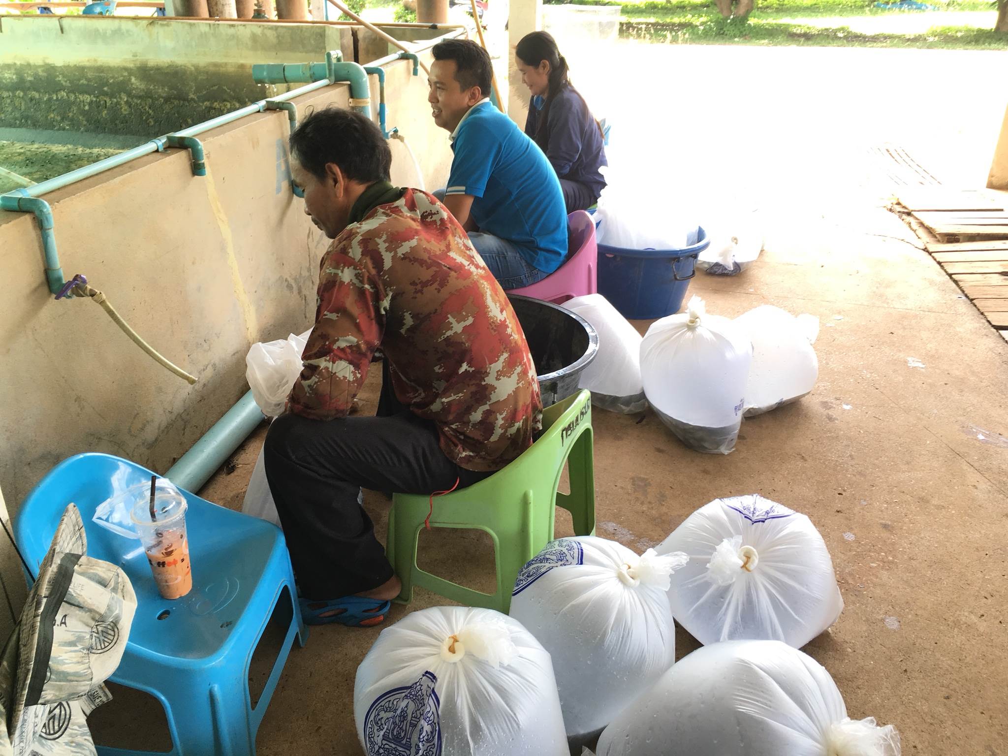 มอบพันธุ์สัตว์น้ำจืด..คลิก