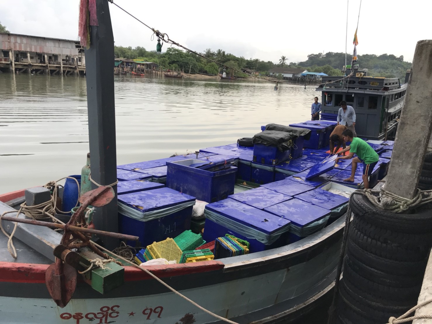 ตรวจสอบเรือและสินค้านำเข้าจากประเทศ MYANMAR..คลิก