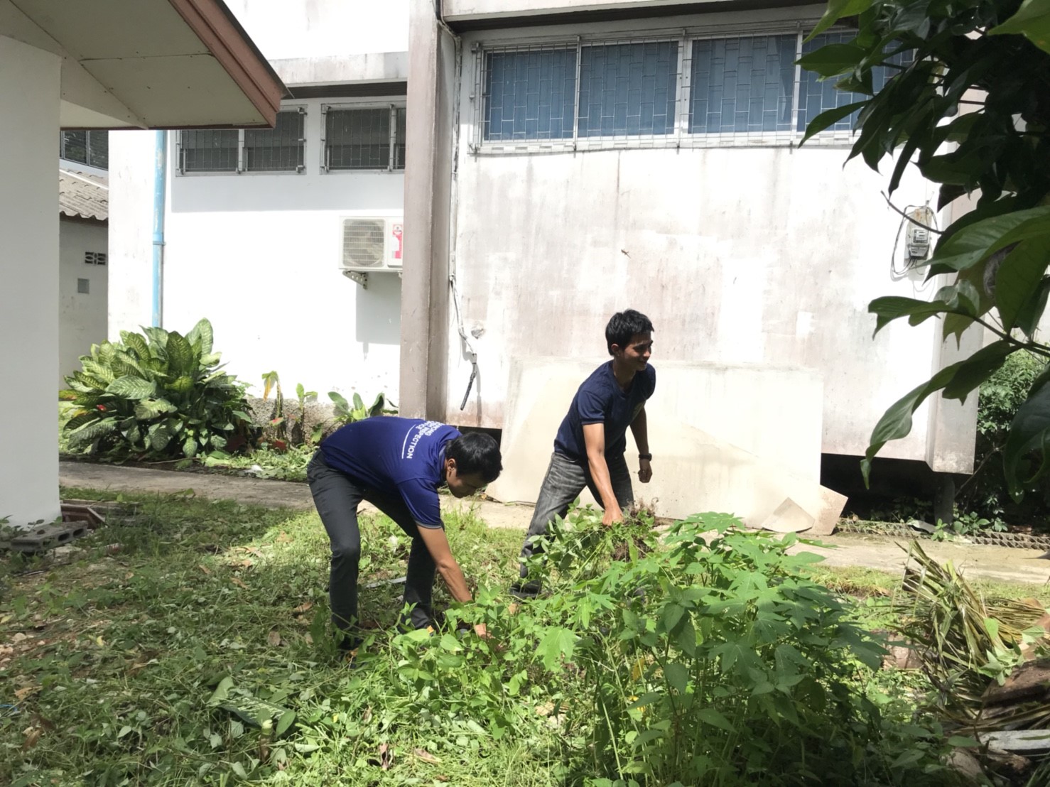 พัฒนาสำนักงานด่านตรวจสัตว์น้ำระนอง
