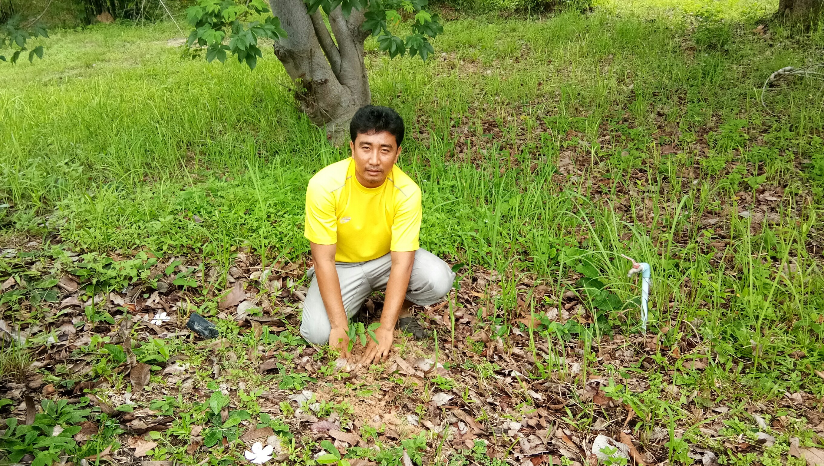 วันต้นไม้ประจำปีของชาติ พ.ศ. 2561..คลิก