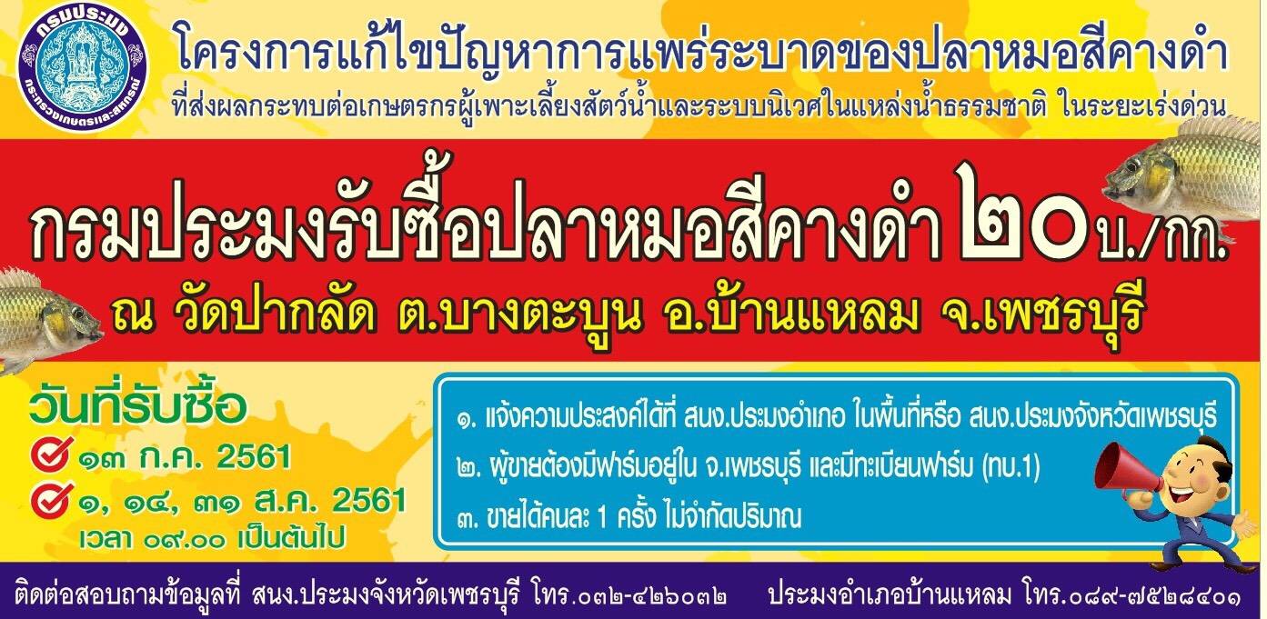 ประชาสัมพันธ์เรื่องปลาหมอสีคางดำ