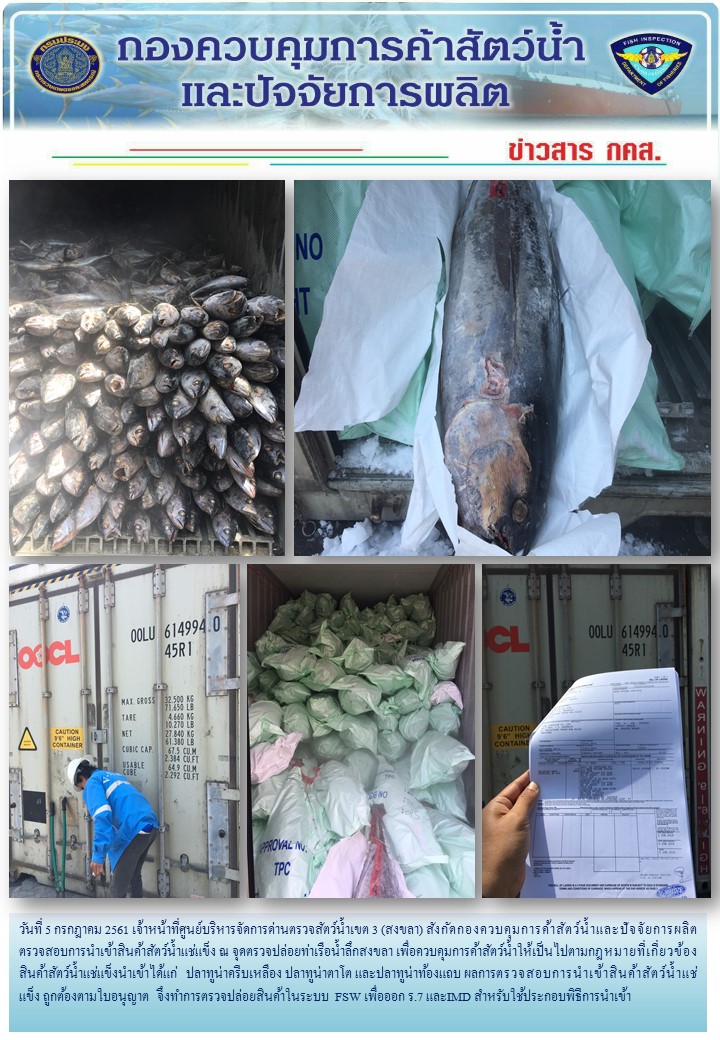 เจ้าหน้าที่ศูนย์บริหารจัดการด่านตรวจสัตว์น้ำเขต 3 (สงขลา) สังกัดกองควบคุมการค้าสัตว์น้ำและปัจจัยการผลิต ตรวจสอบการนำเข้าสินค้าสัตว์น้ำประเภทตู้คอนเทนเนอร์ ณ จุดตรวจปล่อยท่าเรือน้ำลึกสงขลา..คลิก