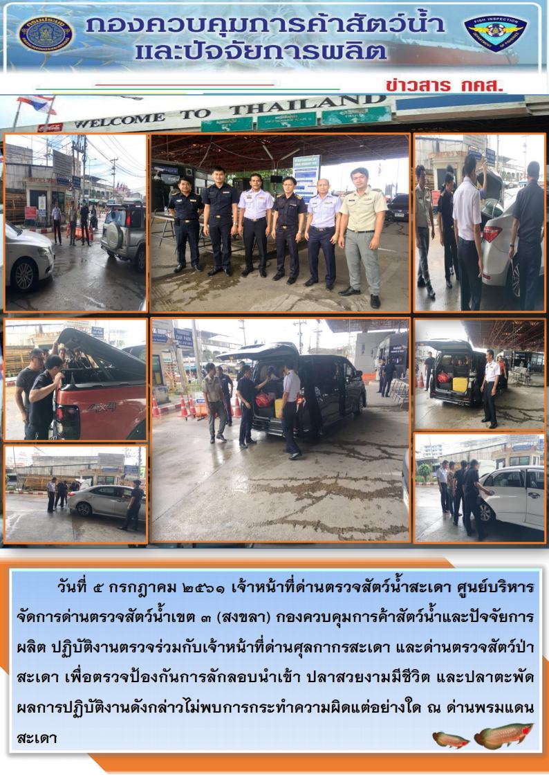 วันที่ 5 กรกฎาคม 2561 เจ้าหน้าที่ด่านตรวจสัตว์น้ำสะเดา ศูนย์บริหารจัดการด่านตรวจสัตว์น้ำเขต 3 (สงขลา) กองควบคุมการค้าสัตว์น้ำและปัจจัยการผลิต ปฏิบัติงานตรวจร่วมกับเจ้าหน้าที่ด่านศุลกากรสะเดา และด่านตรวจสัตว์ป่าสะเดา เพื่อตรวจป้องกันการลักลอบนำเข้า ปลาสวยงามมีชีวิต และปลาตะพัด..คลิก
