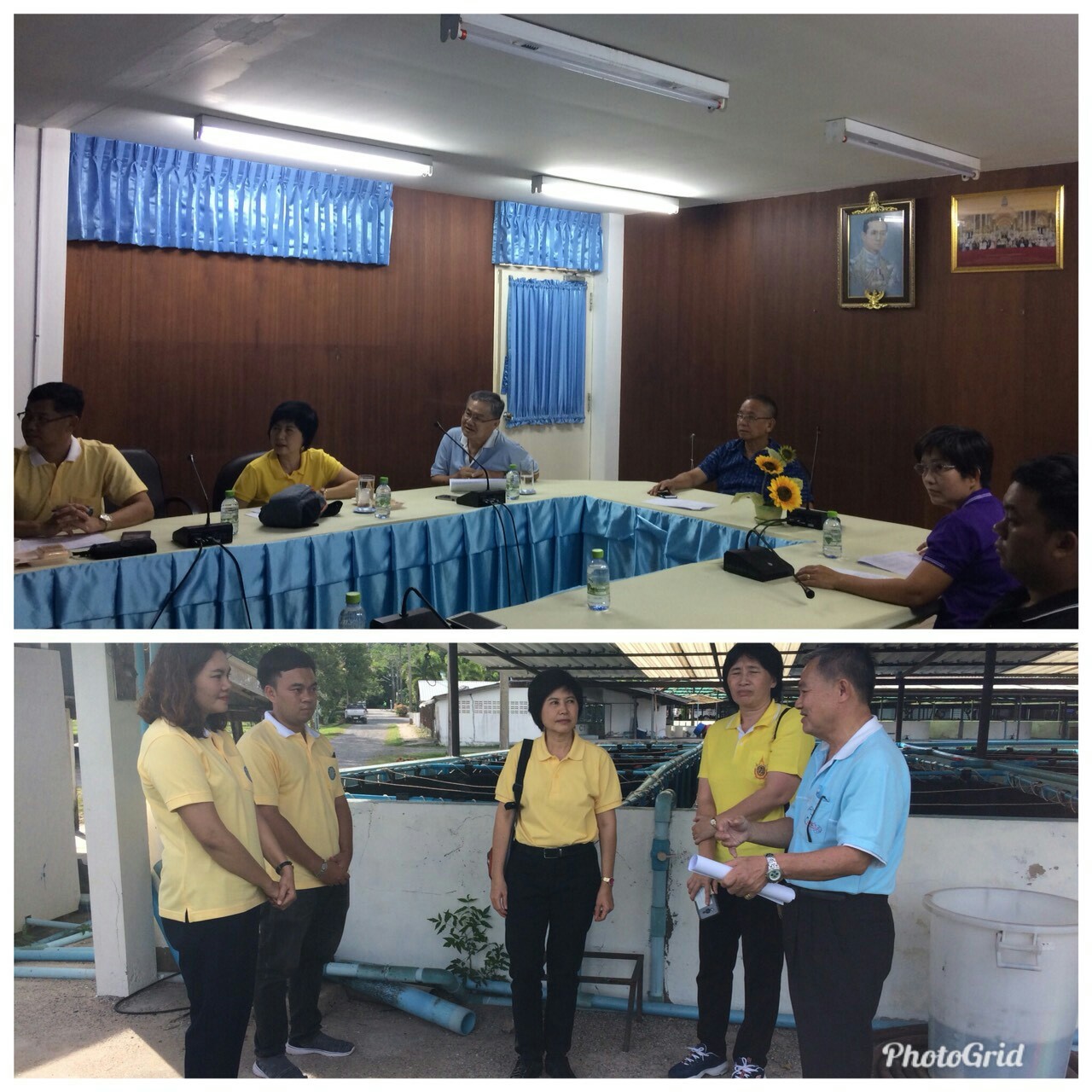 ประชุมติดตามงานวิจัยของหน่วยงานกองวิจัยและพัฒนาการเพาะเลี้ยงสัตว์น้ำจืด ภาคกลาง ตะวันออก และตะวันตก ที่ศูนย์วิจัยและพัฒนาการเพาะเลี้ยงสัตว์น้ำจืดชลบุรี..คลิก