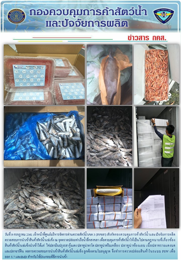 เจ้าหน้าที่ศูนย์บริหารจัดการด่านตรวจสัตว์น้ำเขต 3 (สงขลา) สังกัดกองควบคุมการค้าสัตว์น้ำและปัจจัยการผลิต ตรวจสอบการนำเข้าสินค้าสัตว์น้ำประเภทตู้คอนเทนเนอร์ ณ จุดตรวจปล่อยท่าเรือน้ำลึกสงขลา..คลิก