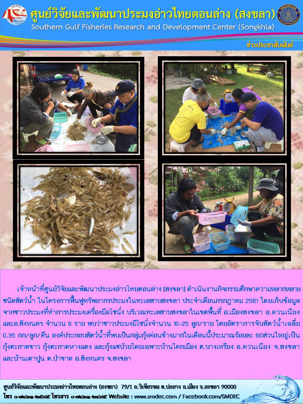 เจ้าหน้าที่ศูนย์วิจัยและพัฒนาประมงอ่าวไทยตอนล่าง (สงขลา) ดำเนินงานกิจกรรมศึกษาความหลากหลาย ชนิดสัตว์น้ำ ในโครงการฟื้นฟูทรัพยากรประมงในทะเลสาบสงขลา ประจำเดือนกรกฎาคม 2561..คลิก