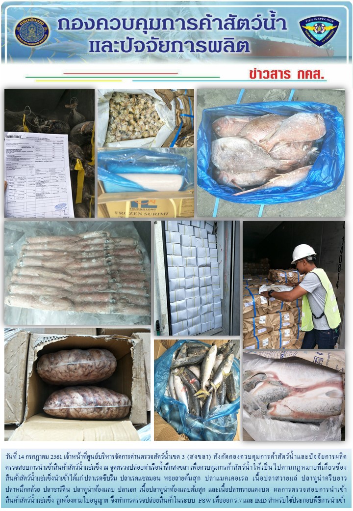 เจ้าหน้าที่ศูนย์บริหารจัดการด่านตรวจสัตว์น้ำเขต 3 (สงขลา) สังกัดกองควบคุมการค้าสัตว์น้ำและปัจจัยการผลิต ตรวจสอบการนำเข้าสินค้าสัตว์น้ำประเภทตู้คอนเทนเนอร์ ณ จุดตรวจปล่อยท่าเรือน้ำลึกสงขลา..คลิก