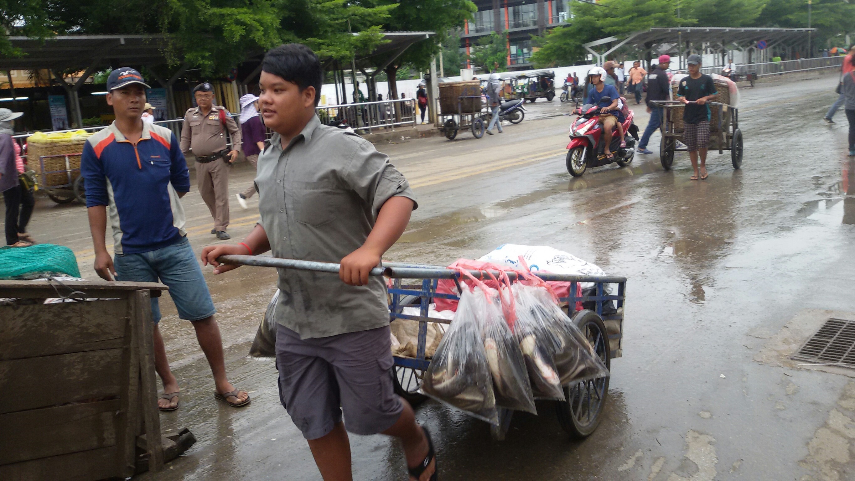 ตรวจสินค้า่สัตว์น้ำส่งออกไปประเทศกัมพูชา..คลิก