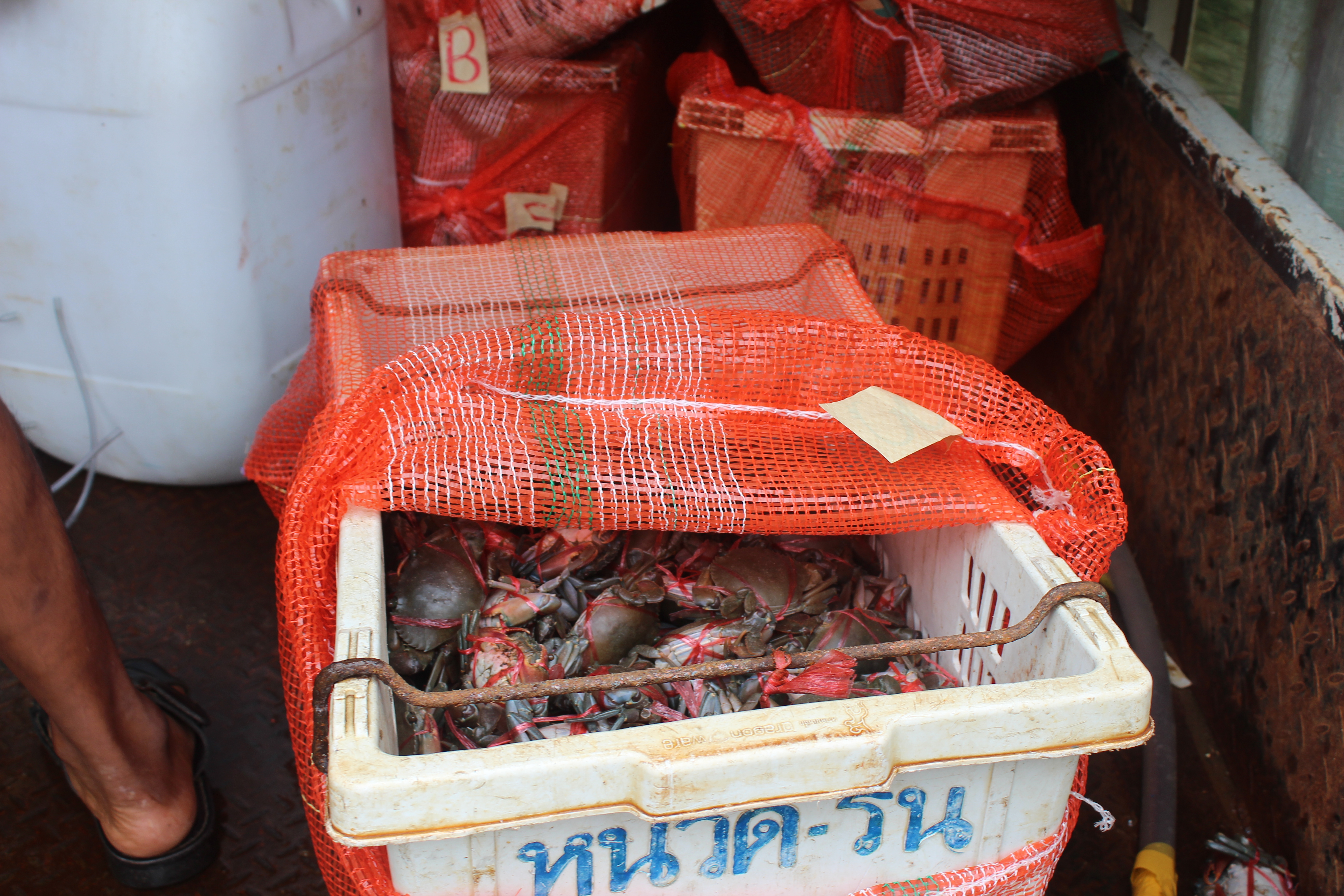 สินค้านำเข้าจากประเทศเมียนมา..คลิก