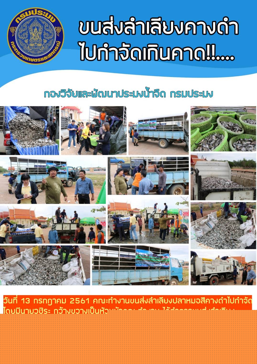 วันที่ 13 กรกฎาคม 2561 คณะทำงานขนส่งลำเลียงปลาหมอสีคางดำไปกำจัด โดยมีนายวชิระ กว้างขวาง ผู้อำนวยการศูนย์วิจัยเเละพัฒนาประมงน้ำจืดเขต 2 (นครสวรรค์)..คลิก