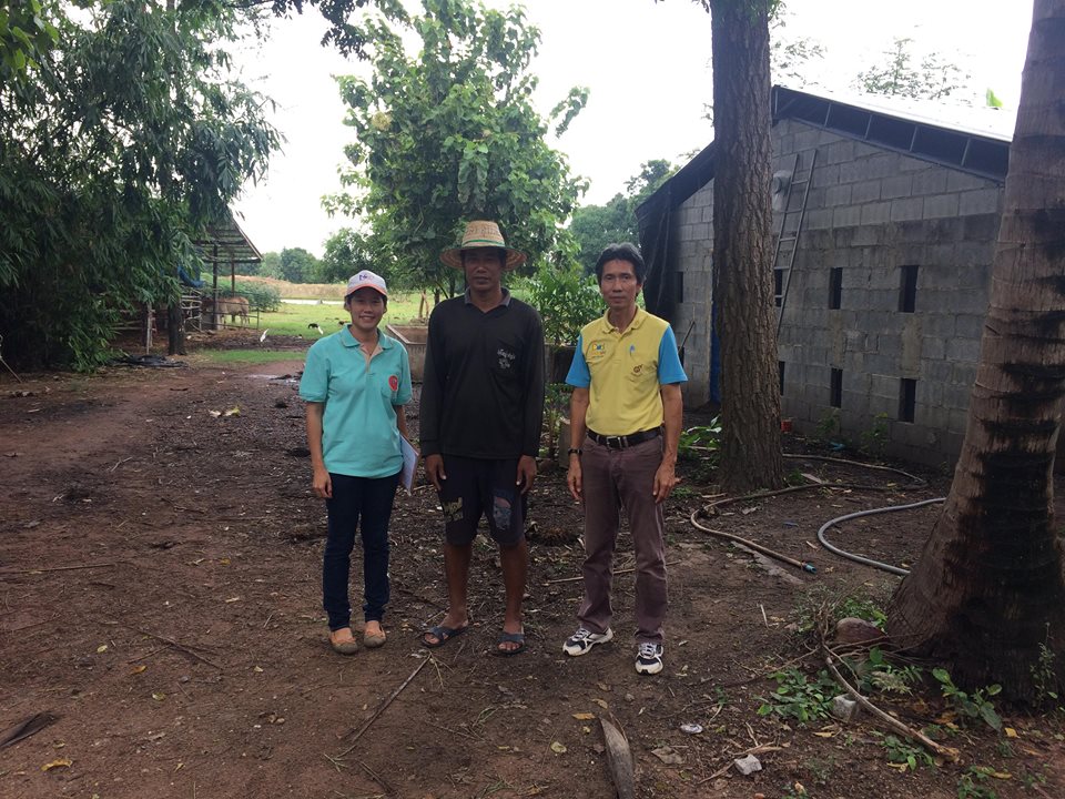 เข้าตรวจประเมินผลผลิตสัตว์น้ำหลังเสร็จสิ้นโครงการส่งเสริมเกษตรเชิงรุกด้านการประมง ปี 2561