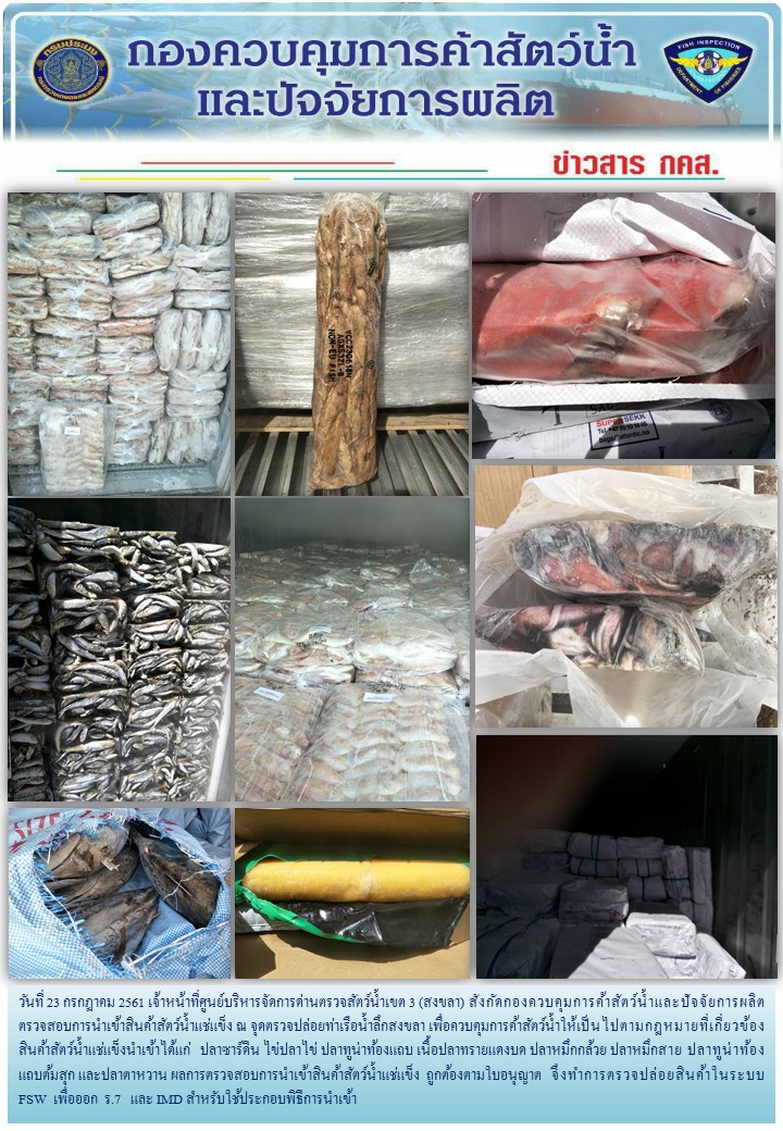 เจ้าหน้าที่ศูนย์บริหารจัดการด่านตรวจสัตว์น้ำเขต 3 (สงขลา) สังกัดกองควบคุมการค้าสัตว์น้ำและปัจจัยการผลิต ตรวจสอบการนำเข้าสินค้าสัตว์น้ำประเภทตู้คอนเทนเนอร์ ณ จุดตรวจปล่อยท่าเรือน้ำลึกสงขลา..คลิก