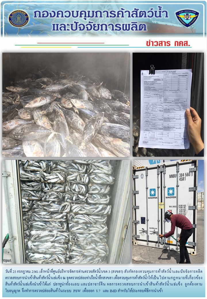 เจ้าหน้าที่ศูนย์บริหารจัดการด่านตรวจสัตว์น้ำเขต 3 (สงขลา) สังกัดกองควบคุมการค้าสัตว์น้ำและปัจจัยการผลิต ตรวจสอบการนำเข้าสินค้าสัตว์น้ำประเภทตู้คอนเทนเนอร์ ณ จุดตรวจปล่อยท่าเรือน้ำลึกสงขลา..คลิก