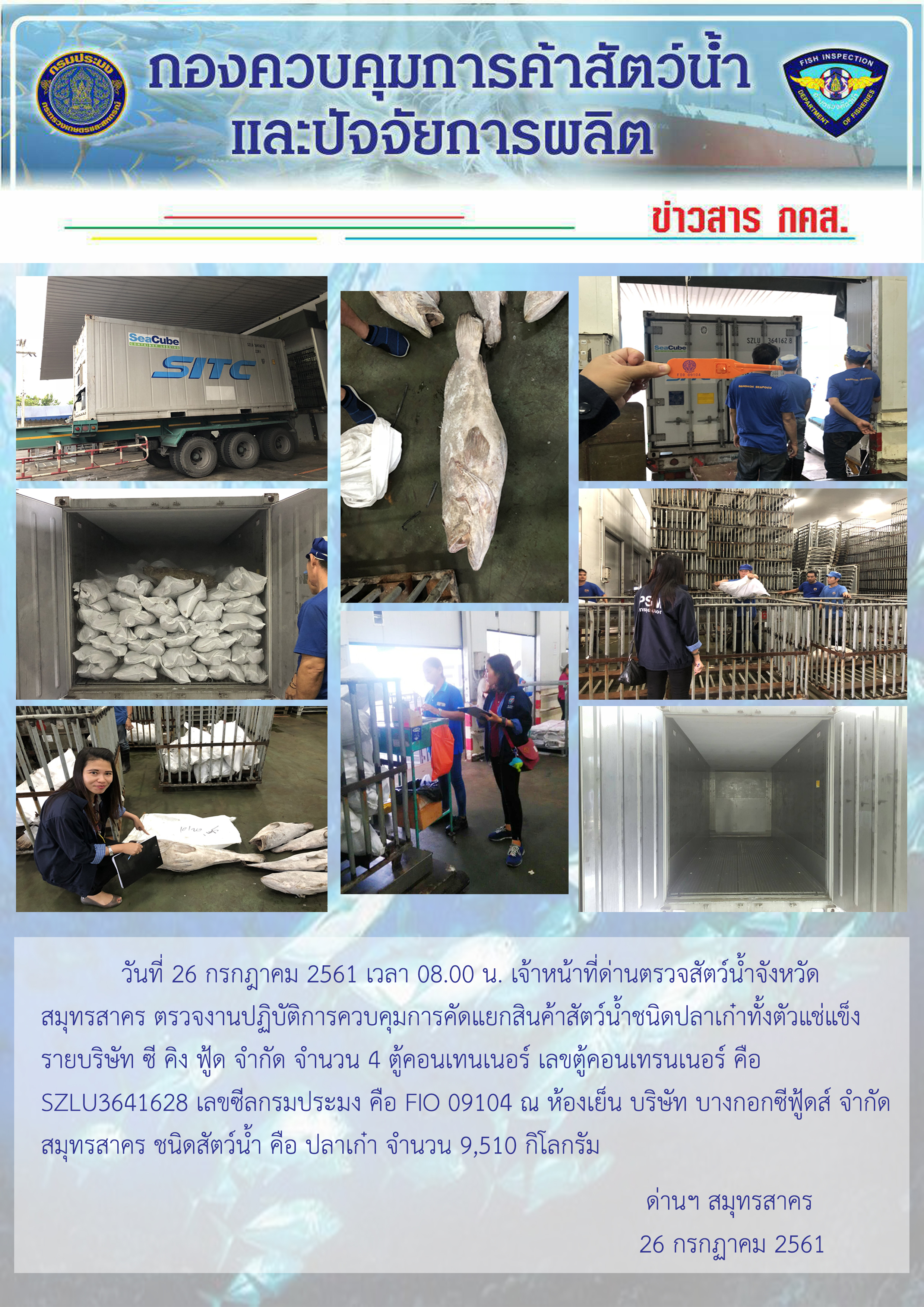 การปฏิบัติงานตรวจสอบควบคุมการคัดแยกสินค้าสัตว์น้ำจากตู้คอนเทนเนอร์ ในวันที่ 26 กรกฎาคม 2561..คลิก
