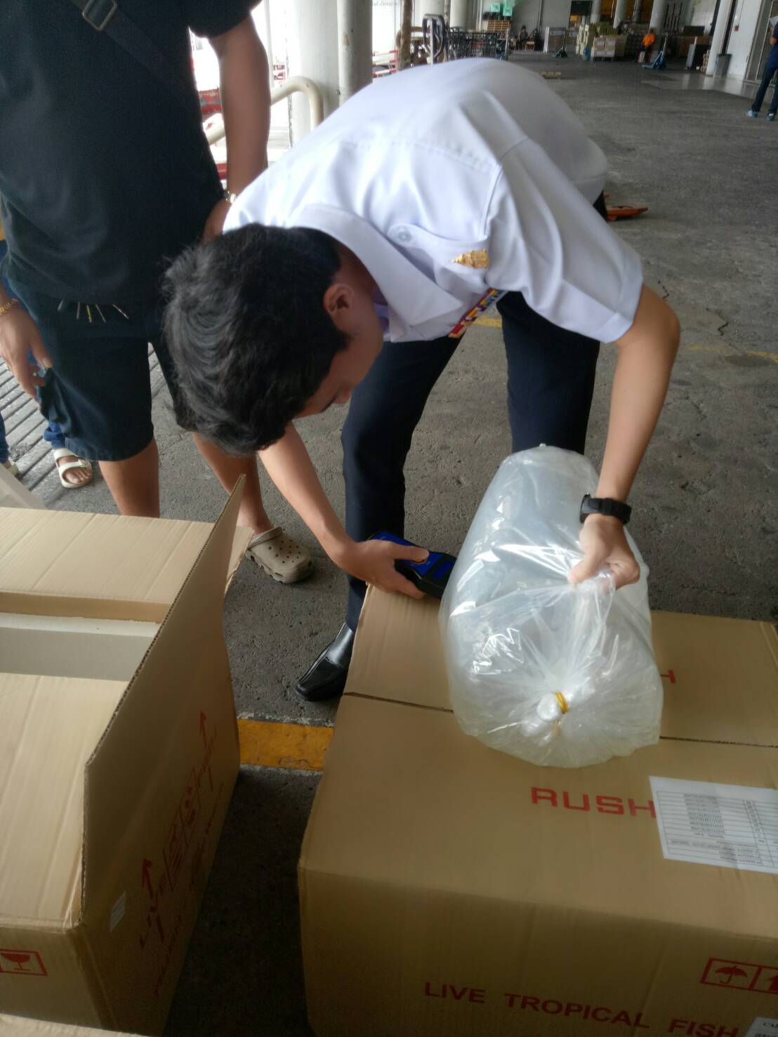 ตรวจสอบสินค้าสัตว์น้ำนำเข้า..คลิก