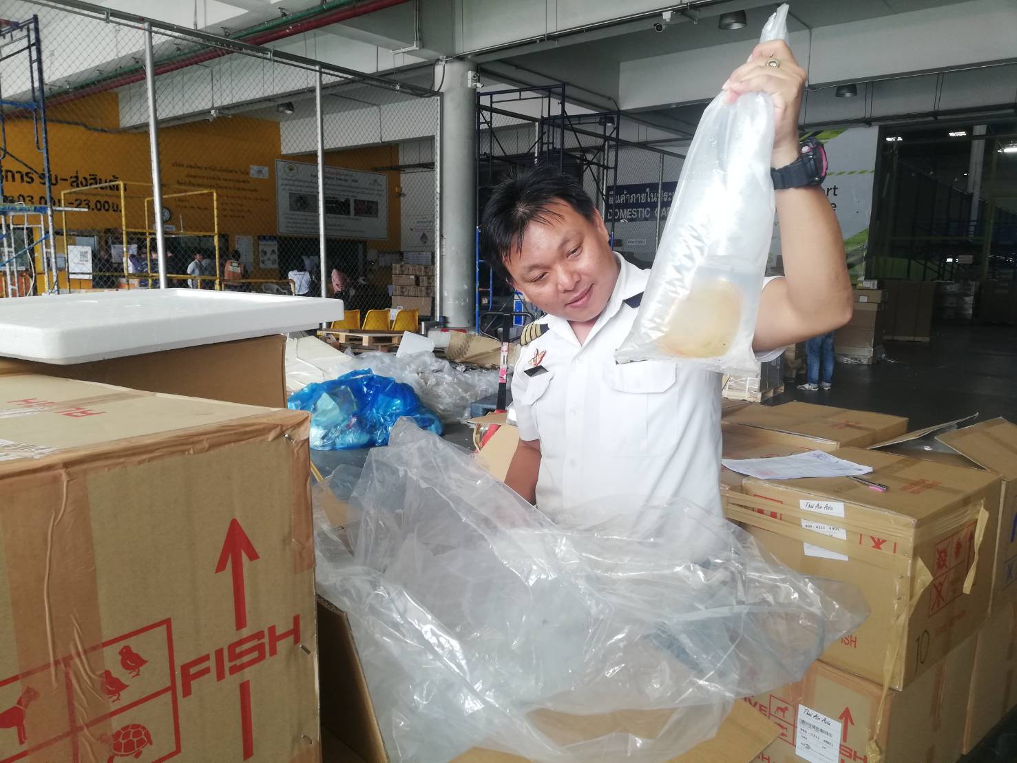 ด่านตรวจสัตว์นำ้ท่าอากาศยานดอนเมือง ตรวจสอบสินค้าสัตว์นำ้นำเข้า..คลิก