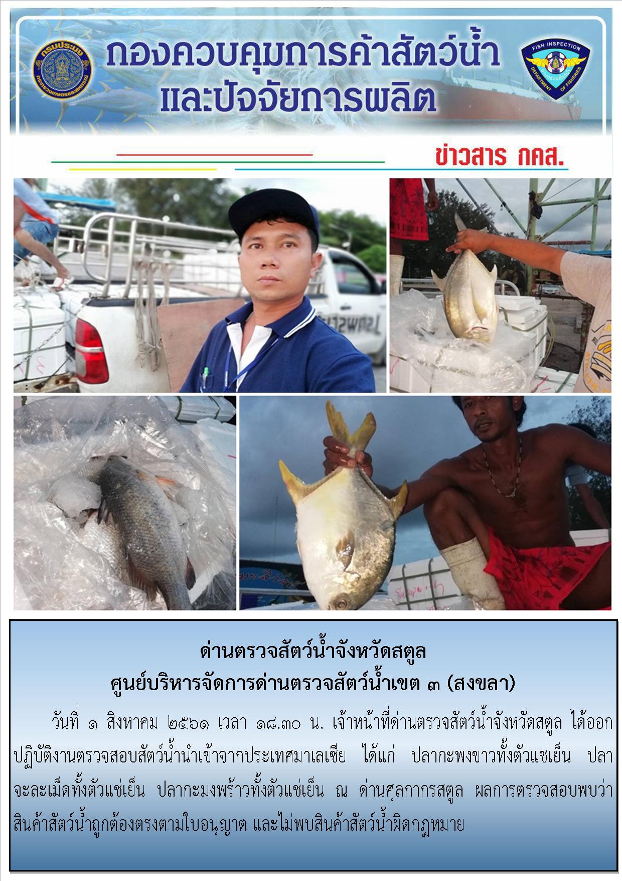 ประชาสัมพันธ์การปฏิบัติงานด่านตรวจสัตว์น้ำจังหวัดสตูล ประจำวันที่ 1 สิงหาคม  2561..คลิก