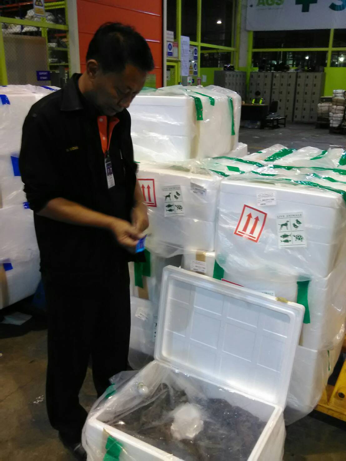 ด่านตรวจสัตว์นำ้ท่าอากาศยานดอนเมือง ตรวจสอบสินค้าสัตว์นำ้ส่งออก..คลิก