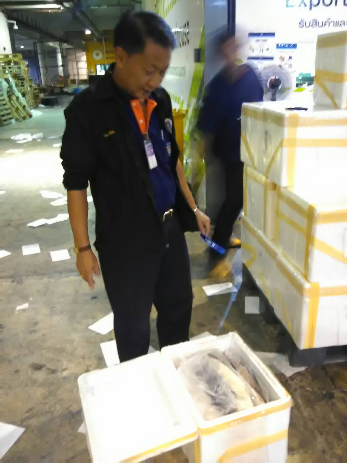 ด่านตรวจสัตว์นำ้ท่าอากาศยานดอนเมือง ตรวจสอบสินค้าสัตว์นำ้ส่งออก..คลิก