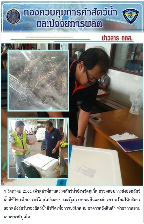 4 สิงหาคม 2561 เจ้าหน้าที่ด่านตรวจสัตว์น้ำจังหวัดภูเก็ต ตรวจสอบการส่งออกสัตว์น้ำมีชีวิต เพื่อการบริโภคไปยังสาธารณรัฐประชาชนจีนและฮ่องกง พร้อมให้บริการออกหนังสือรับรองสัตว์น้ำมีชีวิตเพื่อการบริโภค ณ อาคารคลังสินค้า ท่าอากาศยานนานาชาติภูเก็ต..คลิก